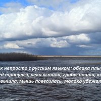 Из облачного :: svk *