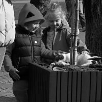 Восторг :: Виктор Савельев