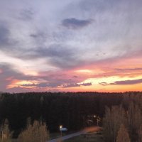 городской парк :: Владимир 