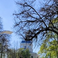 В парке Дзердинского. :: Александр Кондаков