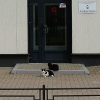 Администрация на посту :: Наталья Герасимова