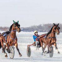 Бега :: SanSan 