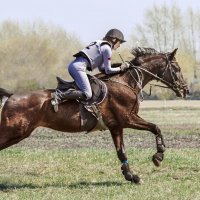 Кросс :: SanSan 