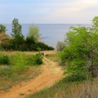 Скорей бы лето ... (2) :: Natali 