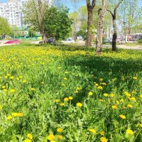 Самара :: Надежда 