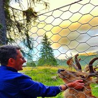 ВСЕ   ЛЮБЯТ   ЛАСКУ :: Анатолий Малобродский