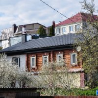 Цветущий май :: Татьяна Машошина Цветущий май :: Татьяна Машошина