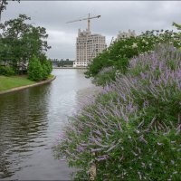 Утро :: **** vedin