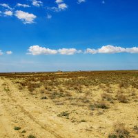 В степи :: Анатолий Чикчирный
