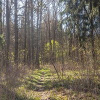 ___ :: Yuriy V