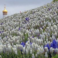 Зарядье 8 мая :: Михаил Бибичков