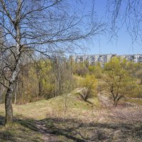 Палитра мая... :: Владимир Жданов