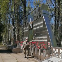 С ДНЕМ ПОБЕДЫ, ДОРОГИЕ ДРУЗЬЯ! :: Виталий Половинко