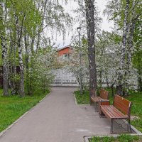 Распускается природа :: Валерий Иванович