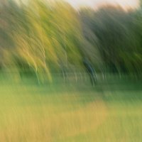 Парк :: Илья Шенгелия