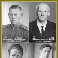 Спасибо Дедам за Победу! :: Игорь Волков