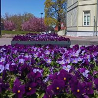 Весна в городе.. :: Татьян@ Ивановна