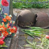 9 мпя 2026 года. Синявино :: Наталья Герасимова