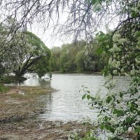 Ботанический сад :: Лидия Бусурина