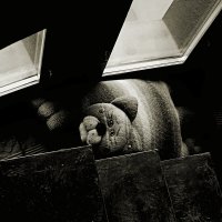 Чердак.Забытая игрушка детства..... :: Виктор Савельев