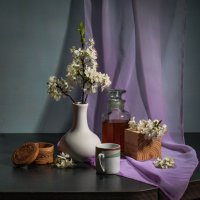 с цветами сливы. :: Анатолий Нецепляев