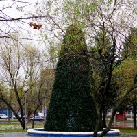 Городской сквер :: Игорь Белоногов