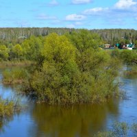Половодье на Ине :: Татьяна Лютаева