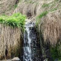 Водопадик :: Игорь Корф