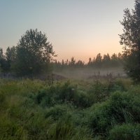 вечер :: Александр