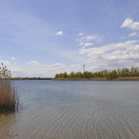 У Дона. :: Виктор 