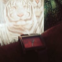 116 (97) :: СТРЕН 