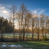 Старые поля весной :: Лилия 