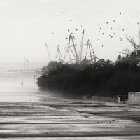 В мир минималистической зимы. :: Анатолий Щербак