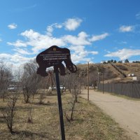 скала Сухотино :: Екатерина Панова