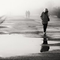 Эфемерной зимы атмосфера. :: Анатолий Щербак