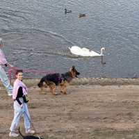 ... :: Светлана Ищенко