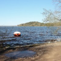Токсово :: Наталья Герасимова