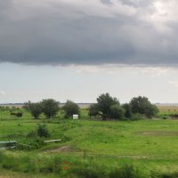 На берегу пролива Эресунн (Øresund) вблизи города Хеярп (Häljarp) :: Александр Ильчевский На берегу пролива Эресунн (Øresund) вблизи города Хеярп (Häljarp) :: Александр Ильчевский
