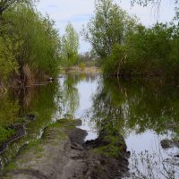 Разлив. Дальше не проехать. :: Михаил К Разлив. Дальше не проехать. :: Михаил К