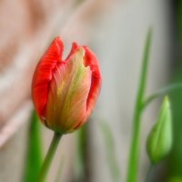 * :: Вадим 