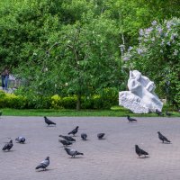 В парке города Гомеля :: Игорь Сикорский