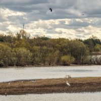 Утро в деревне :: Владимир Колесников