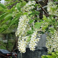 Городские зарисовки :: Галина Нестратова