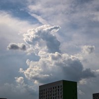 Бегает по крышам :: Валерий Иванович
