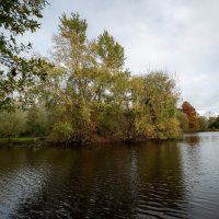 Ноябрьское... :: Николай Гирш