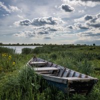 в мечтах о плаваниях :: Ирина 