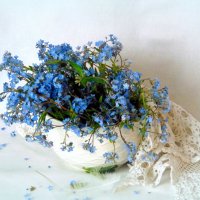 НЕЗАБУДКИ. :: nadyasilyuk Вознюк