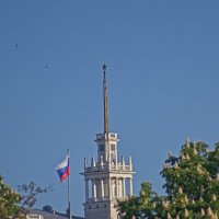 Матроский клуб :: Giant Tao /