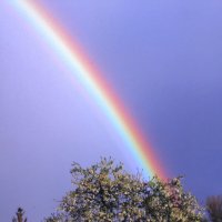 После дождя :: Людмила Смородинская