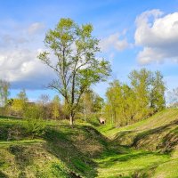 Весна :: Михаил Свиденцов Весна :: Михаил Свиденцов